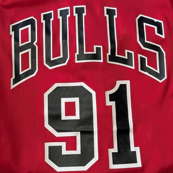 Vintage 90s Champion Dennis Rodman Chicago Bulls Jersey Mens 40 Basketball NBA - Picture 4 of 8